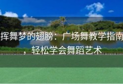 挥舞梦的翅膀：广场舞教学指南，轻松学会舞蹈艺术