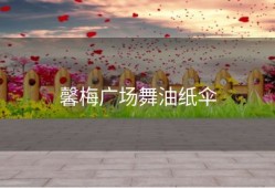 馨梅广场舞油纸伞