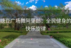 糖豆广场舞阿里郎：全民健身的快乐旋律