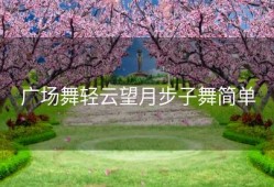广场舞轻云望月步子舞简单