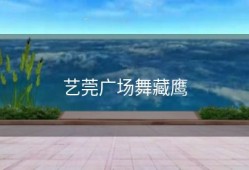 艺莞广场舞藏鹰