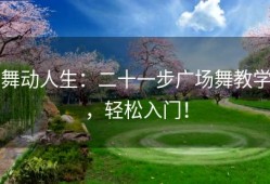 舞动人生：二十一步广场舞教学，轻松入门！