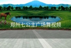 郑州七公主广场舞视频