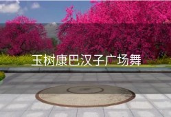 玉树康巴汉子广场舞