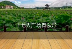 十七人广场舞队形