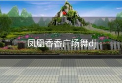 凤凰香香广场舞dj