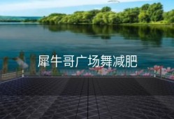 犀牛哥广场舞减肥