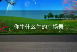 你牛什么牛的广场舞