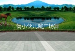 俩小伙儿跳广场舞