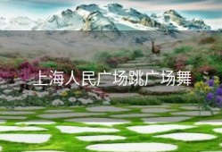 上海人民广场跳广场舞