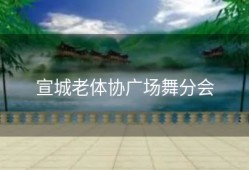 宣城老体协广场舞分会