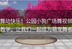 舞动快乐！公园小狗广场舞视频教学，让我们一起成为萌宠舞者