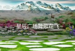 星辰广场舞歌在飞