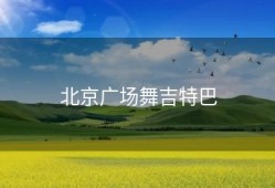 北京广场舞吉特巴