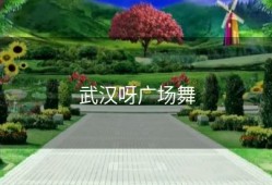 武汉呀广场舞