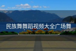 民族舞舞蹈视频大全广场舞