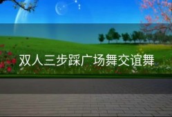 双人三步踩广场舞交谊舞