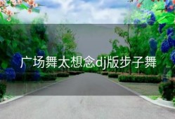 广场舞太想念dj版步子舞