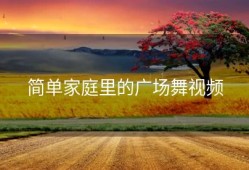 简单家庭里的广场舞视频