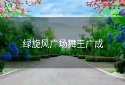 绿旋风广场舞王广成