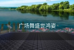 广场舞盛世鸿姿