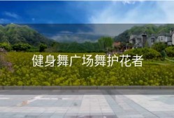健身舞广场舞护花者