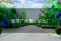 丽萍广场舞华丽出厂