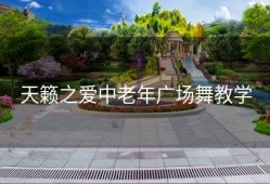 天籁之爱中老年广场舞教学