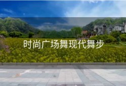 时尚广场舞现代舞步