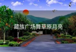 藏族广场舞草原月亮