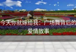 今天你就嫁给我：广场舞背后的爱情故事