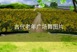 古代老年广场舞图片