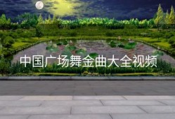 中国广场舞金曲大全视频