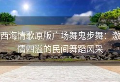 西海情歌原版广场舞鬼步舞：激情四溢的民间舞蹈风采
