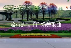流行的快手广场舞歌曲