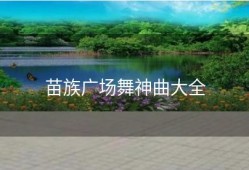 苗族广场舞神曲大全