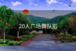 20人广场舞队形