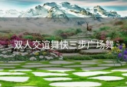 双人交谊舞快三步广场舞