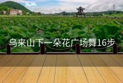 乌来山下一朵花广场舞16步