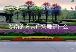 湖南的方言广场舞是什么