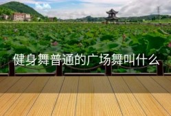 健身舞普通的广场舞叫什么