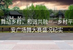 舞动乡村，和谐共融——乡村平安广场舞大赛盛况纪实