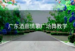 广东酒廊情歌广场舞教学