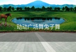 动动广场舞兔子舞