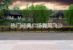 热门经典广场舞风飞沙