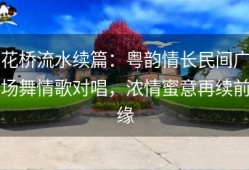 花桥流水续篇：粤韵情长民间广场舞情歌对唱，浓情蜜意再续前缘