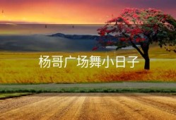 杨哥广场舞小日子