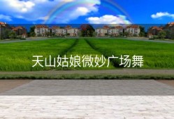 天山姑娘微妙广场舞