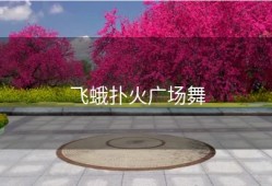 飞蛾扑火广场舞