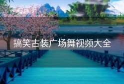 搞笑古装广场舞视频大全